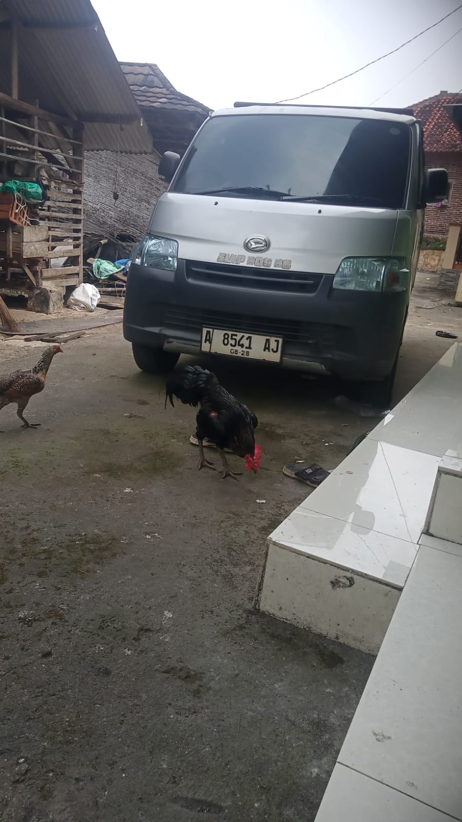 Diduga Matel Adira Rampas Mobil Pickup Pedagang Kambing di Serang, Langgar Hukum Perampasan dan Fidusia